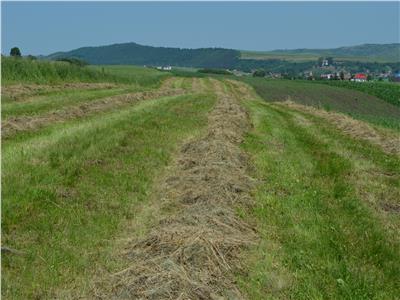 Teren de Vanzare in Voiniceni