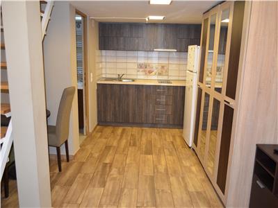 1 Room Apartment with Utilities Included for Rent in Ultracentral Area