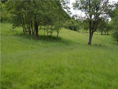 Land for Sale in Sovata  Area