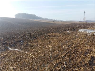 Land for Sale in Ivanesti  Area