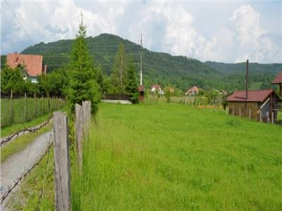 Land for Sale in Sovata  Area