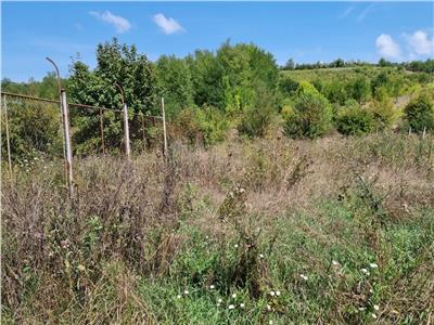 Land for sale in Corunca