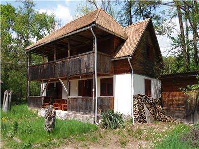 Cabana de Vanzare in Zona Bistra Muresului