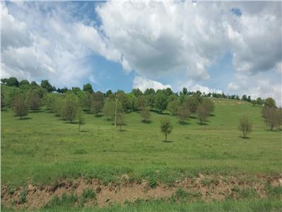 Land for Sale in Berghia Area