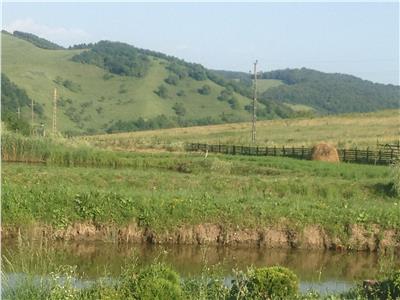 Teren de Vanzare in Zona Livezeni